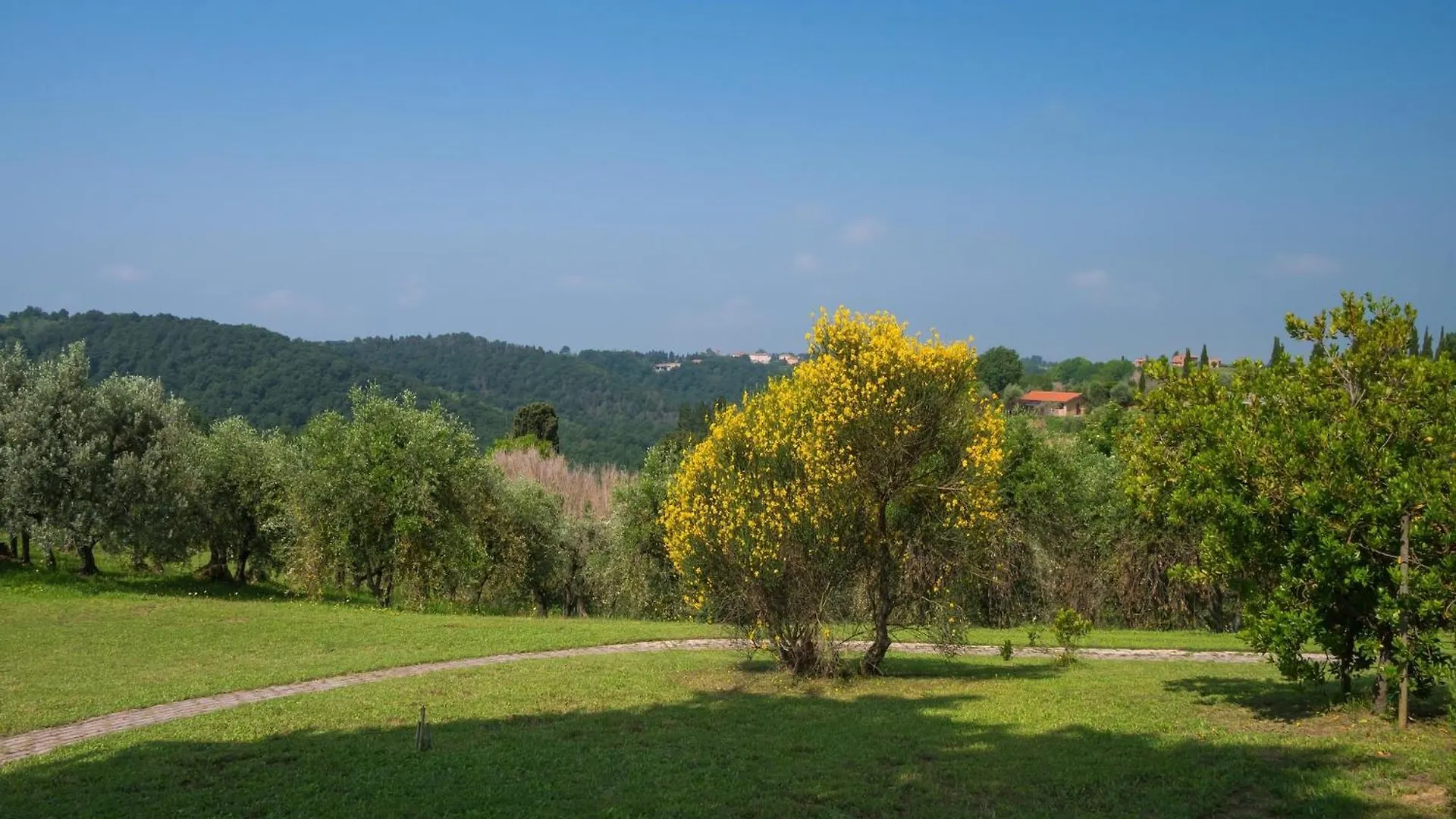 Apartment In Farmhouse With Garden And Pool Montaione