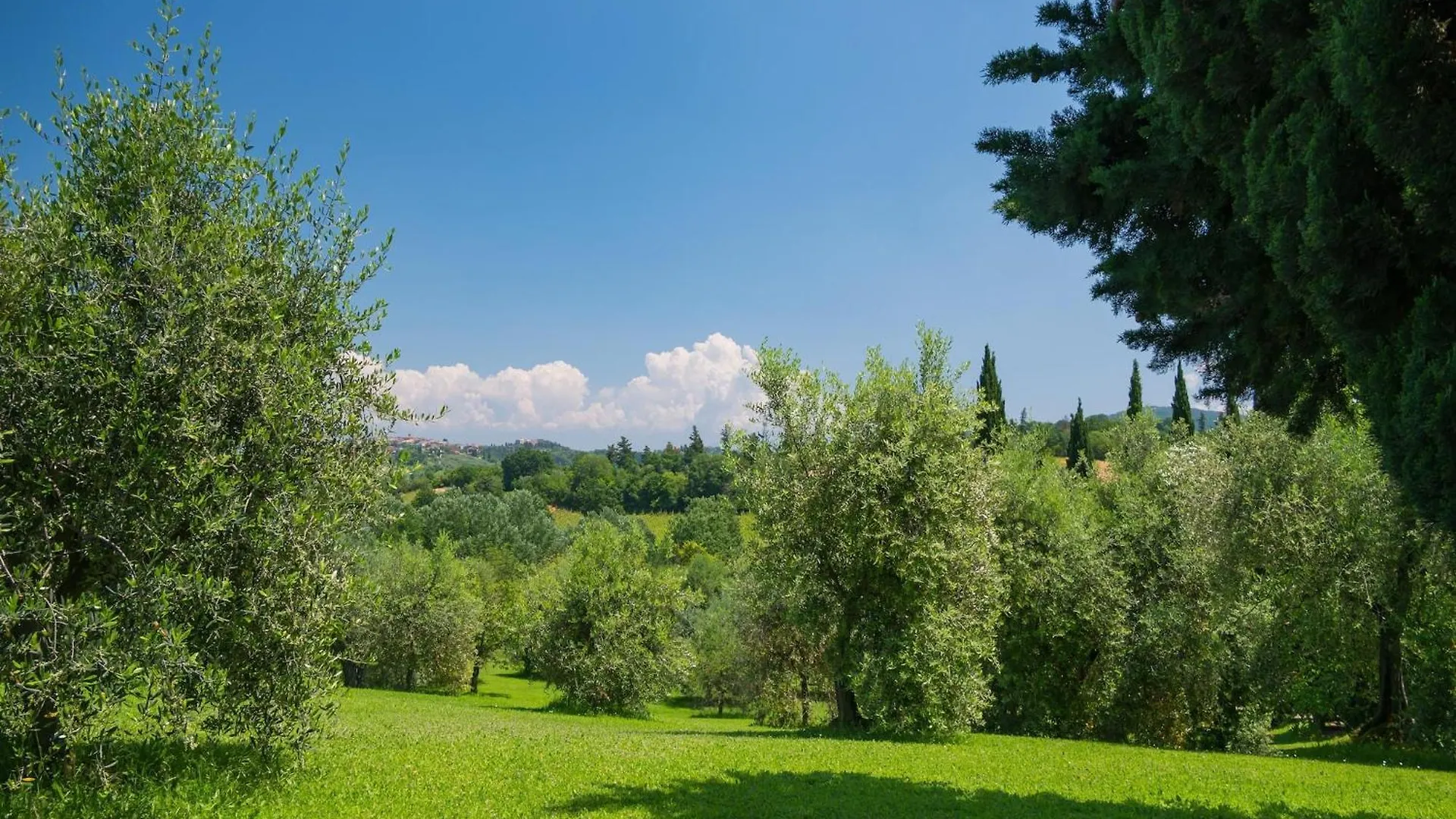 Apartment In Farmhouse With Garden And Pool Montaione